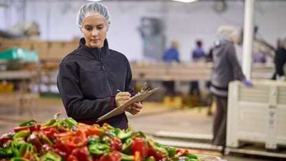 specialist working on site in food plant