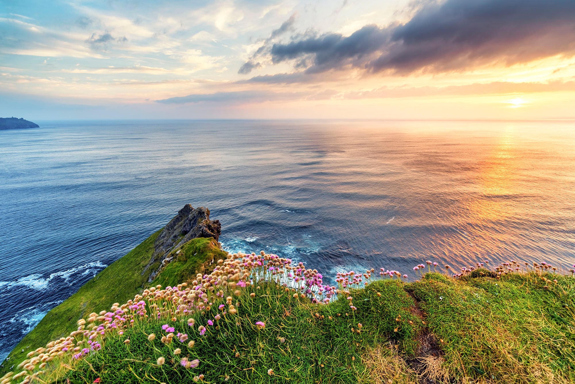 colorful flowers on a high cliff overlooking the sea