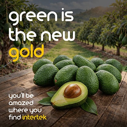 Fresh avocadoes sitting on a table