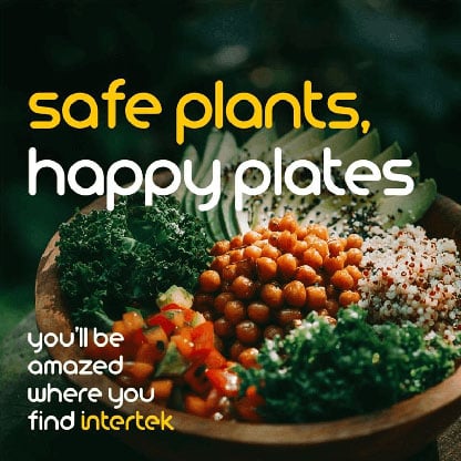 A bowl of varied vegetables