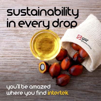 A small bowl of palm oil next to palm seeds falling out of a bag